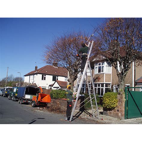 Liverpool Tree Care Services Ltd